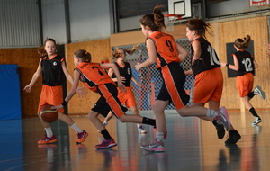 Genlis - Moneteau (11/12/2015)