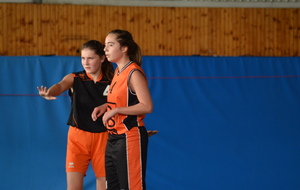 Genlis - Moneteau (11/12/2015)