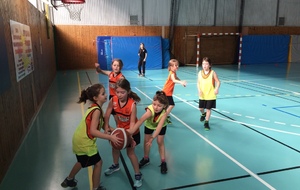 Plateau féminin U9 Genlis mars 2016