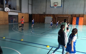 Plateau féminin U9 Genlis mars 2016