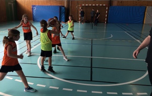 Plateau féminin U9 Genlis mars 2016