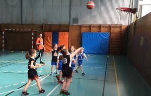 Plateau féminin U9 Genlis mars 2016