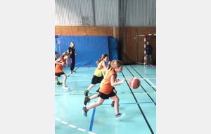 Plateau féminin U9 Genlis mars 2016