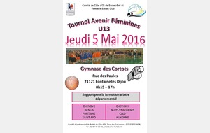 Tournoi Basket Avenir U13F